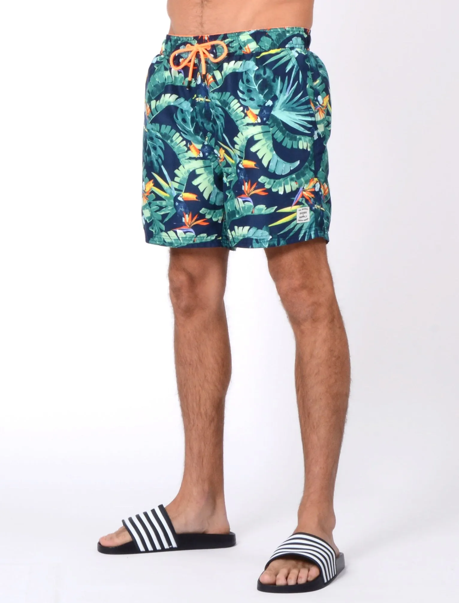 Alden Swim Shorts In Toucan Print - Tokyo Laundry