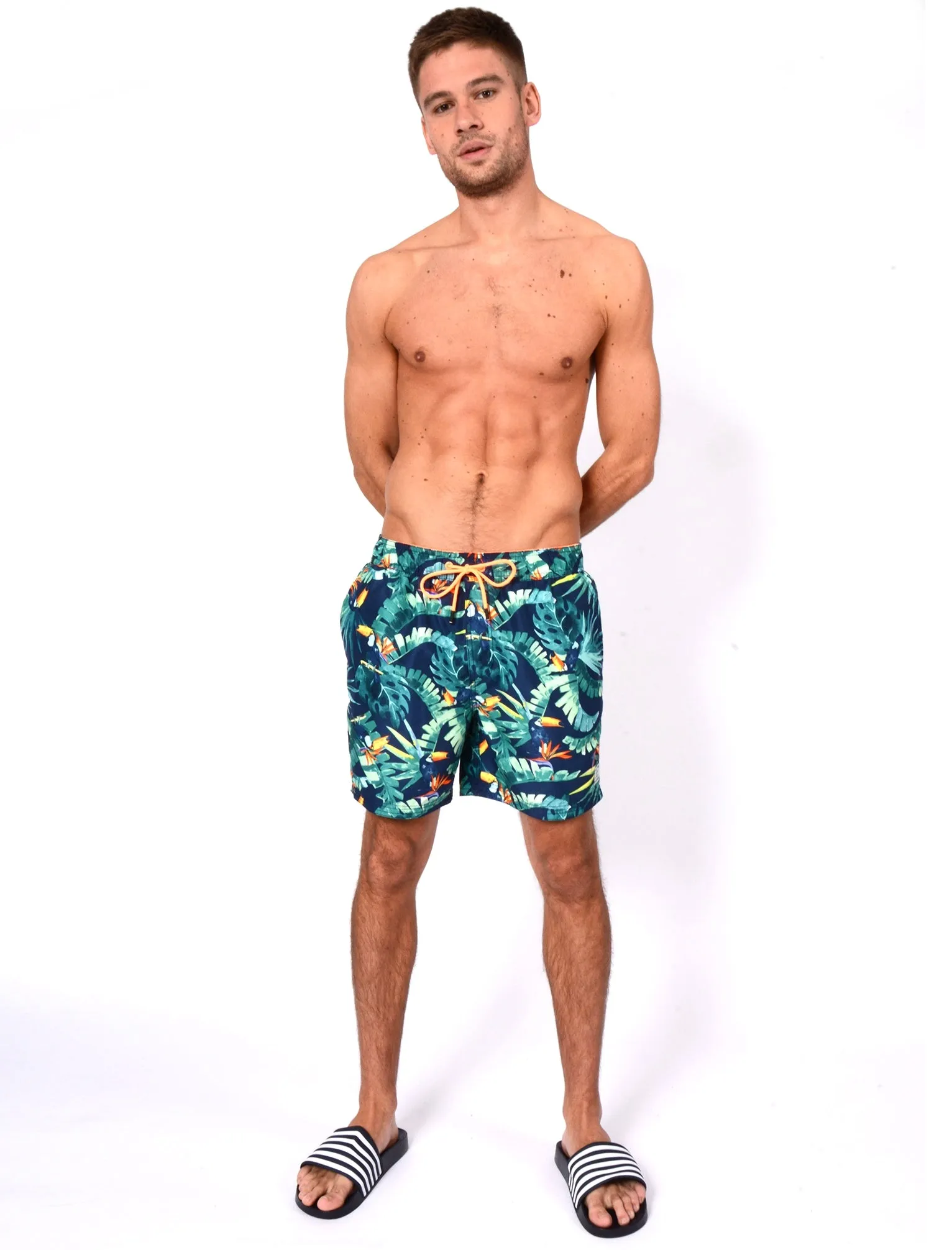 Alden Swim Shorts In Toucan Print - Tokyo Laundry