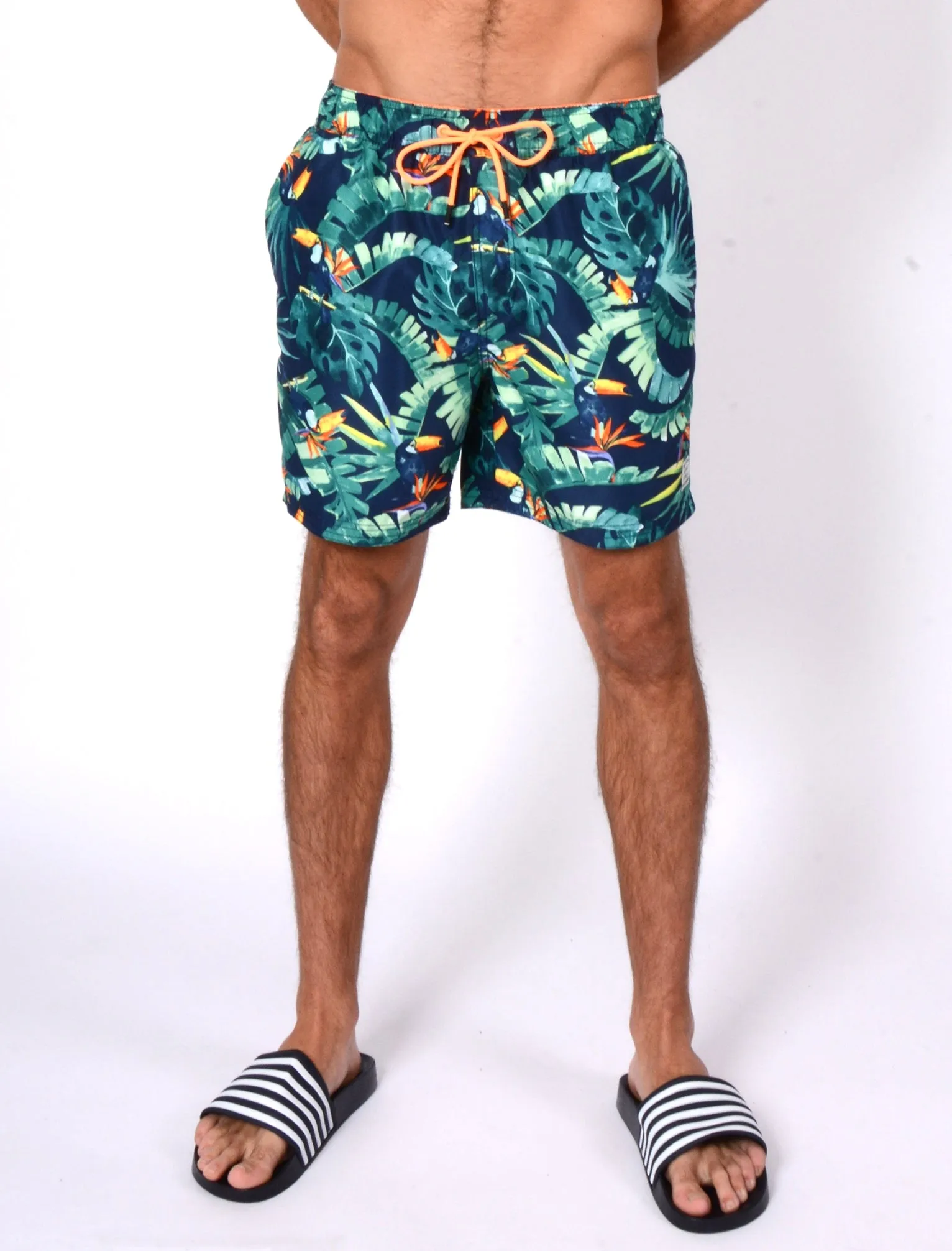 Alden Swim Shorts In Toucan Print - Tokyo Laundry