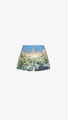 All-Over Printed Swim Shorts