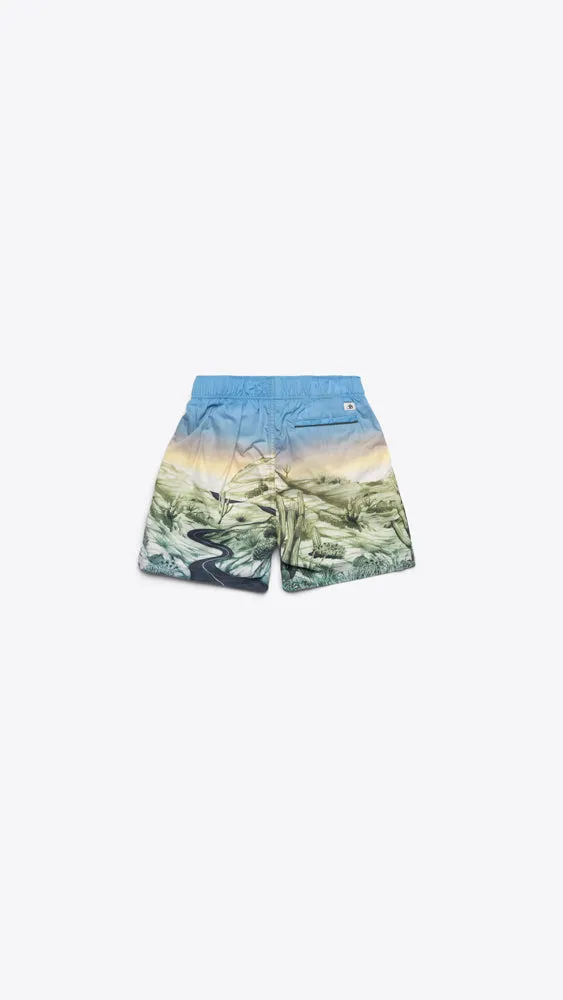 All-Over Printed Swim Shorts