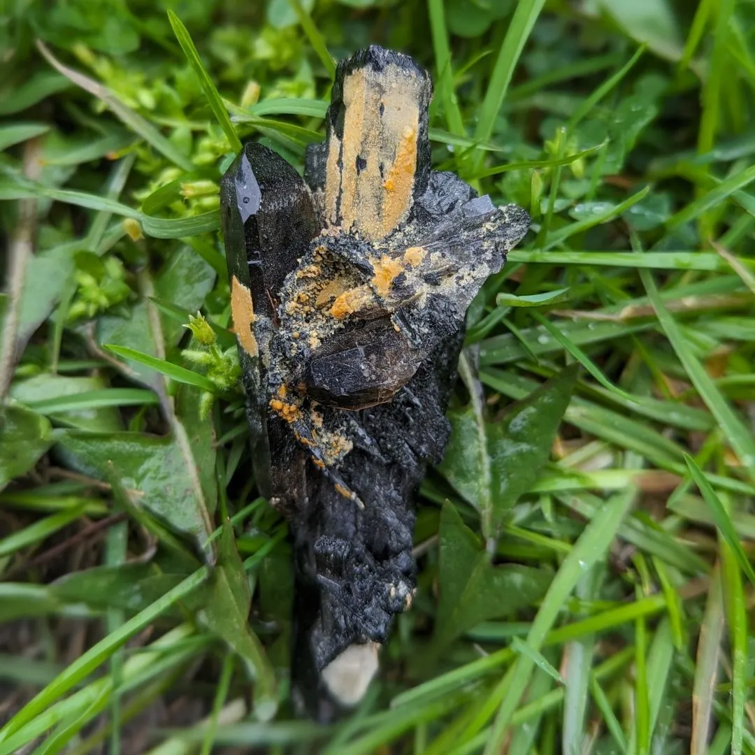 Rare and Incredibly Unique~ Double Terminated Smoky Quartz Nestled in Aegirine Specimen~ Locality Malawi, Africa