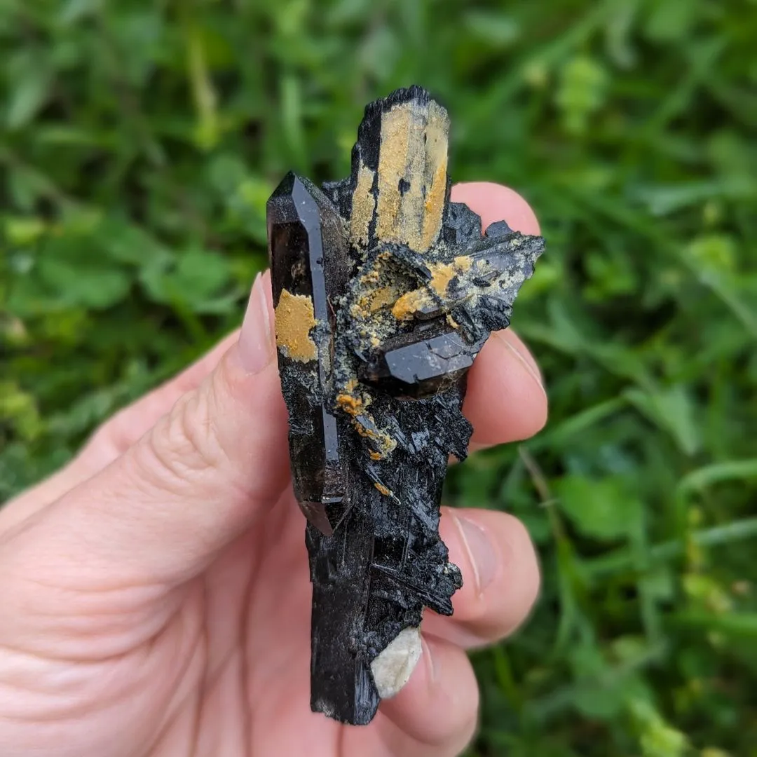 Rare and Incredibly Unique~ Double Terminated Smoky Quartz Nestled in Aegirine Specimen~ Locality Malawi, Africa