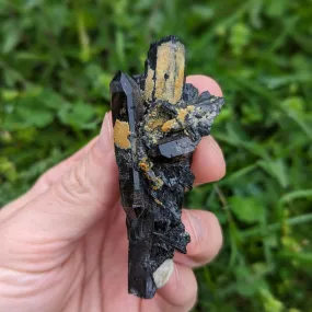 Rare and Incredibly Unique~ Double Terminated Smoky Quartz Nestled in Aegirine Specimen~ Locality Malawi, Africa